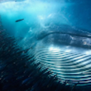 Meet your Posher, Jacki